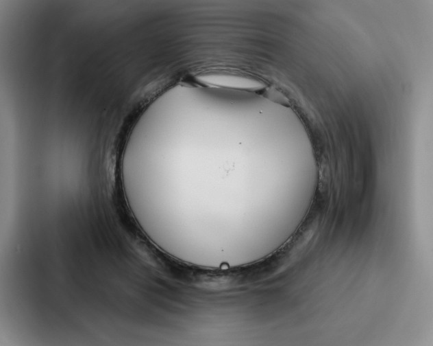 X0000086950454200705141825