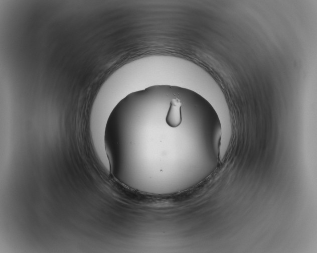 X0000086950456200705141825