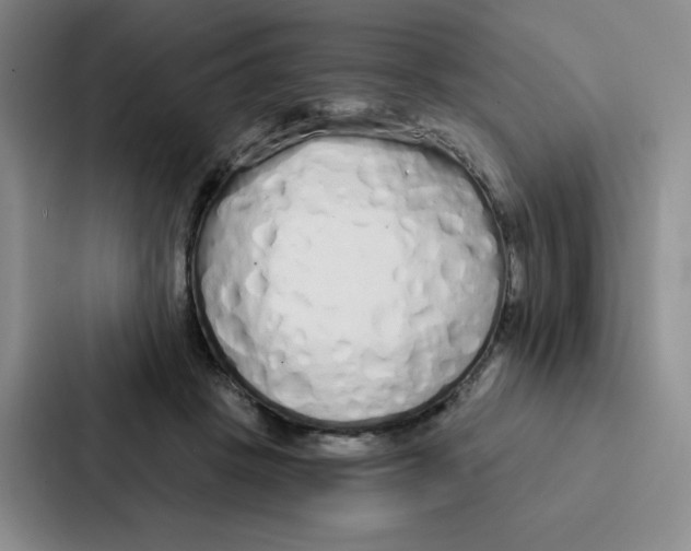 X0000086950457200705141825