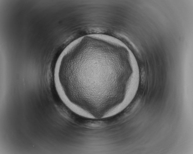 X0000086950459200705141825