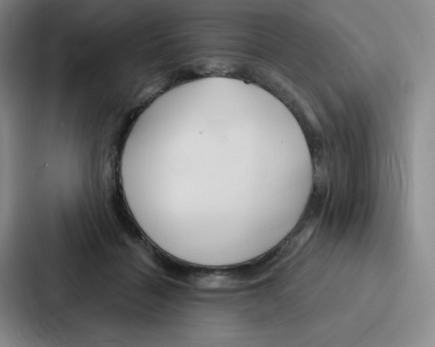 X0000086950460200705141825