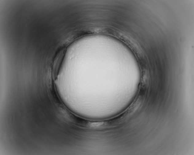 X0000086950461200705141825