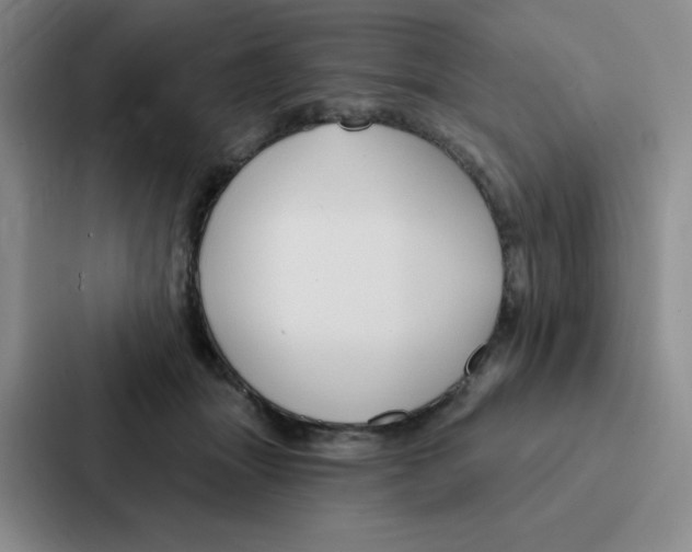 X0000086950463200705141825