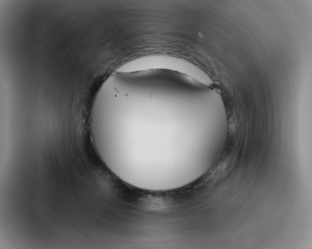 X0000086950464200705141825