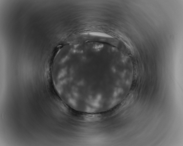 X0000086950465200705141825