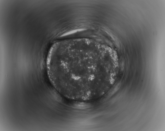 X0000086950467200705141825