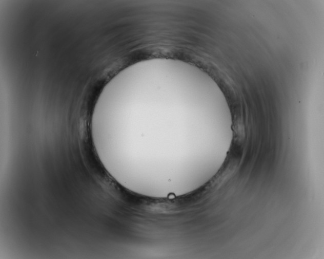 X0000086950468200705141825