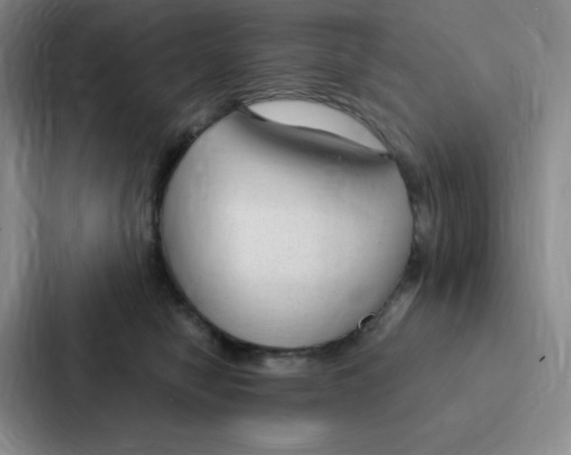 X0000086950470200705141826