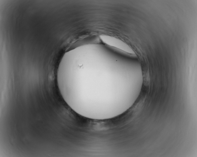 X0000086950472200705141826