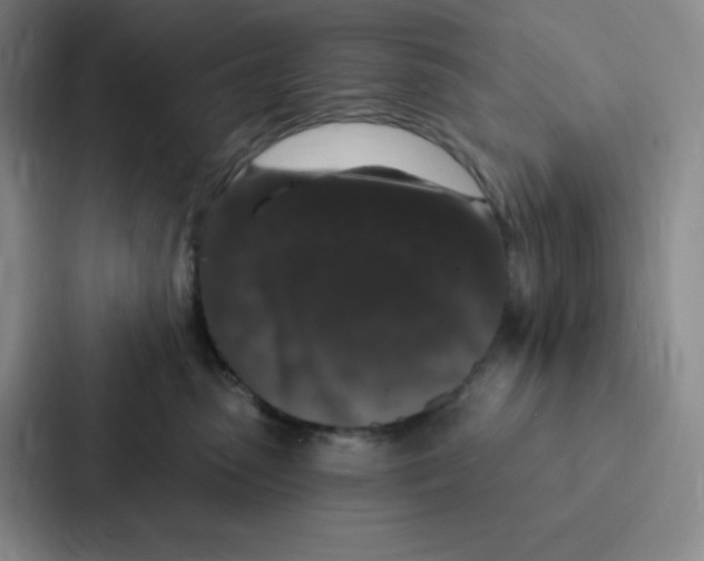 X0000086950475200705141826