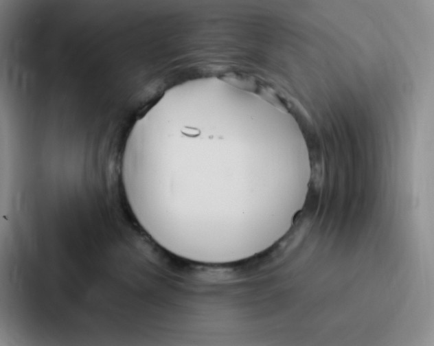 X0000086950476200705141826