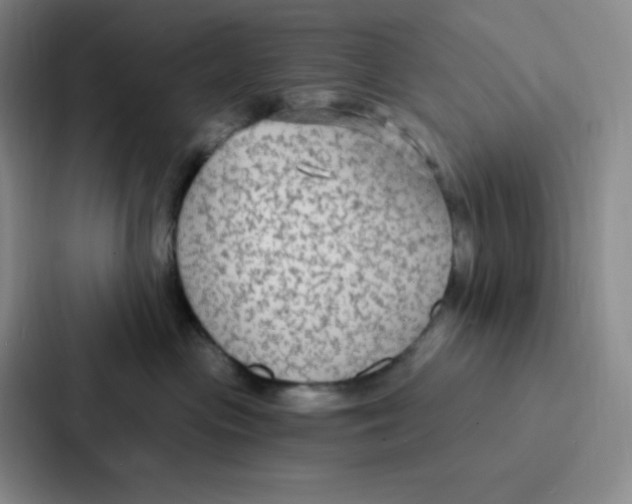 X0000086950477200705141826