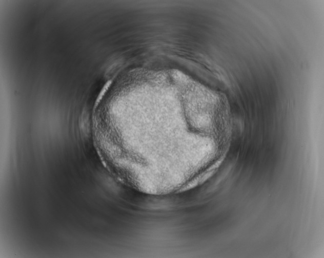 X0000086950479200705141826