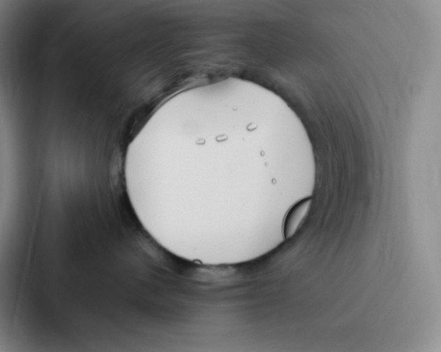 X0000086950480200705141826