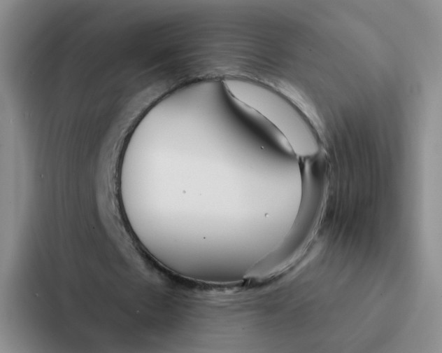 X0000086950481200705141825