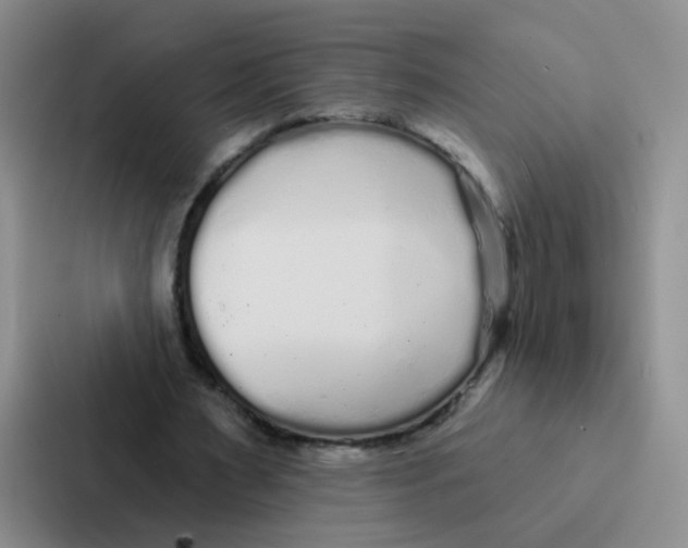 X0000086950483200705141825