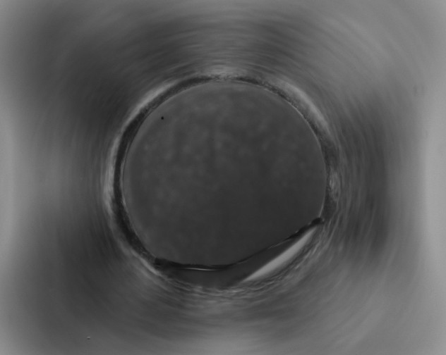 X0000086950484200705141825