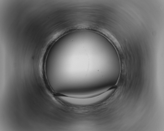 X0000086950485200705141825