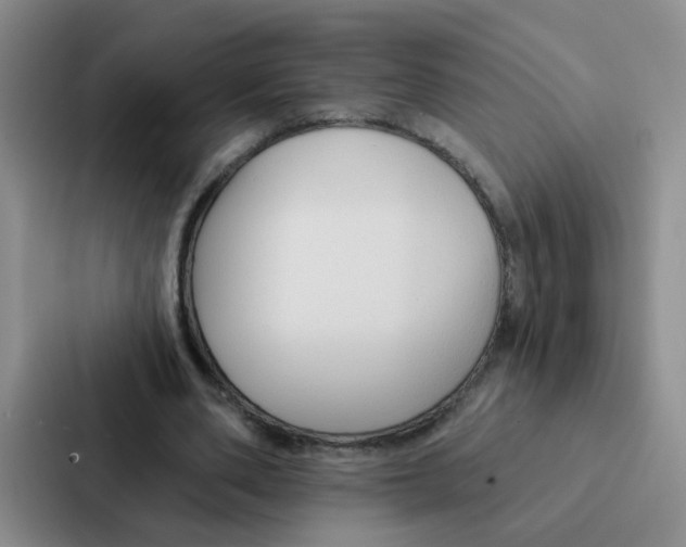 X0000086950486200705141825