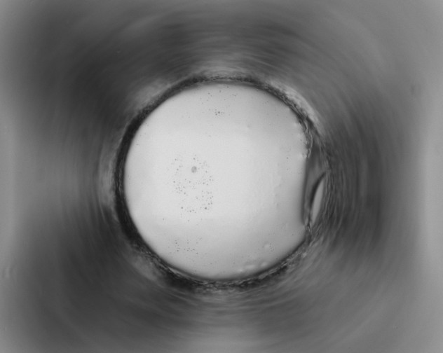 X0000086950487200705141825