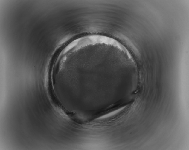 X0000086950488200705141825