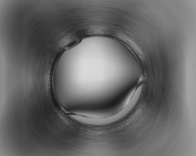 X0000086950489200705141825