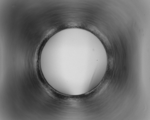 X0000086950490200705141825