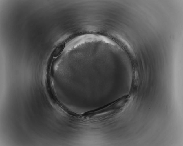 X0000086950492200705141825