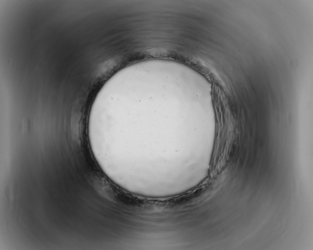 X0000086950495200705141825