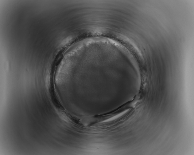 X0000086950496200705141825