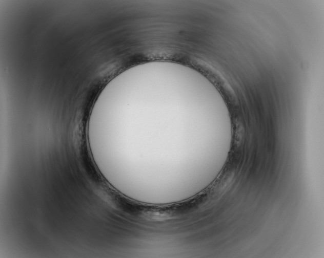 X0000086950498200705141825