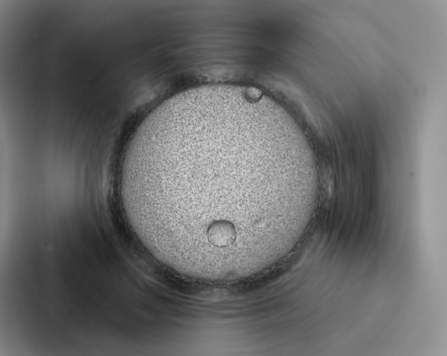 X0000086950499200705141825