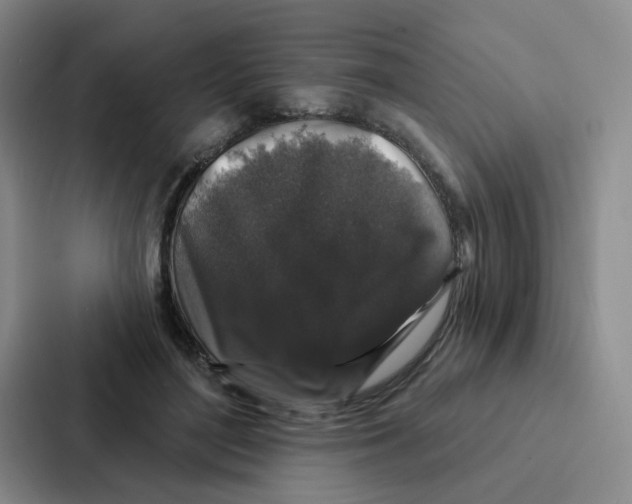 X0000086950500200705141825