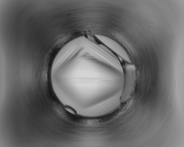 X0000086950501200705141825