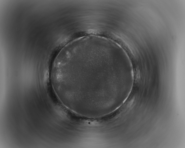 X0000086950502200705141825