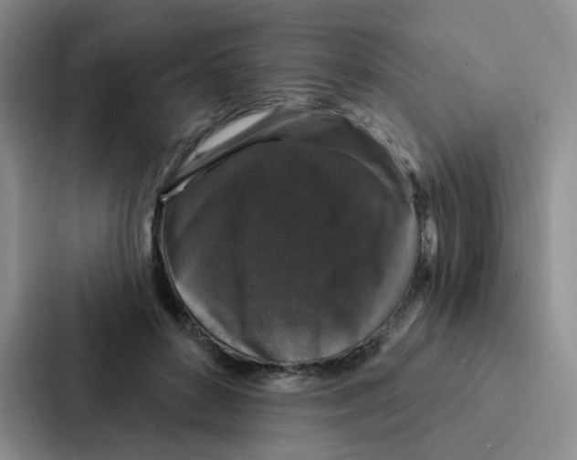 X0000086950504200705141825