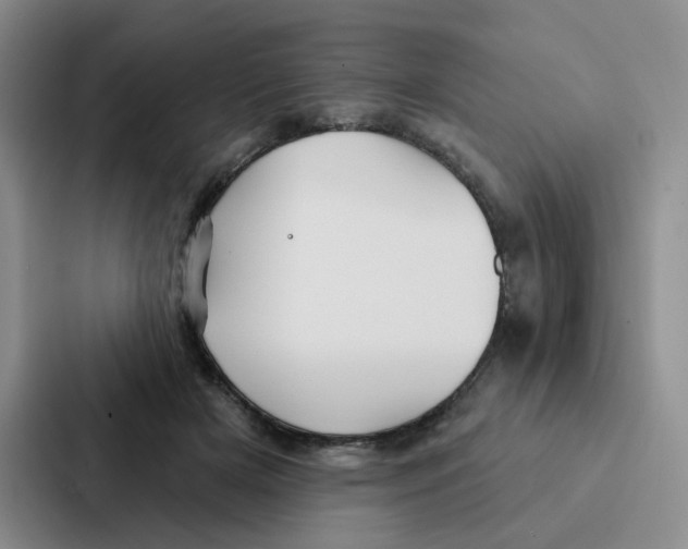 X0000086950505200705141825