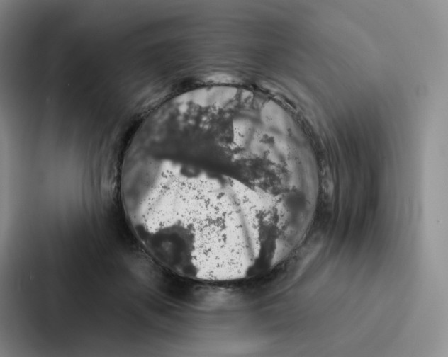 X0000086950507200705141825