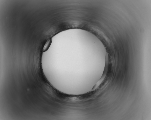 X0000086950509200705141825