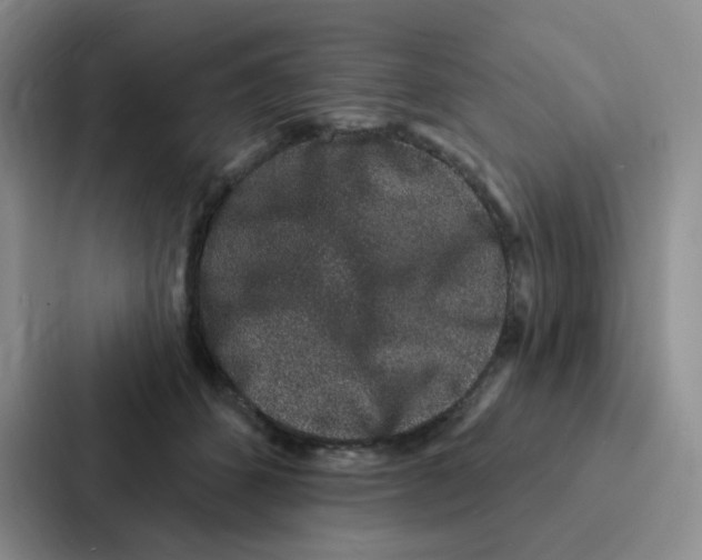 X0000086950512200705141825