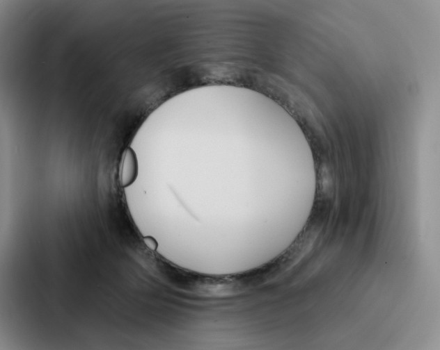 X0000086950514200705141825