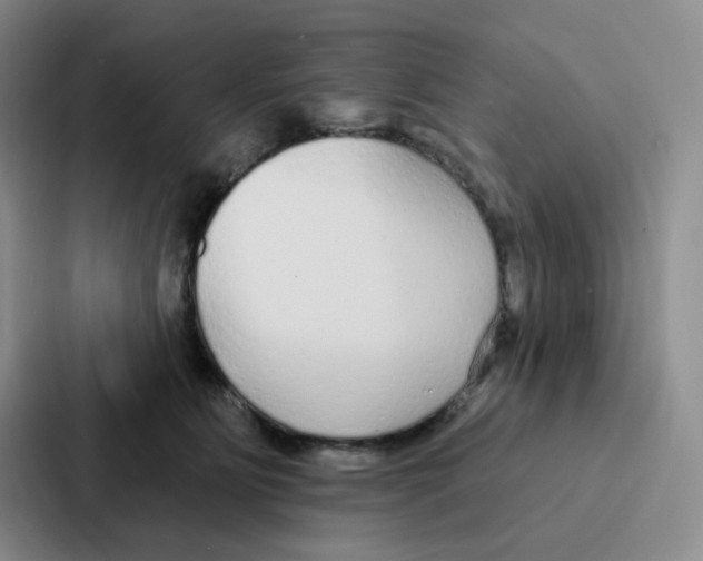 X0000086950515200705141825