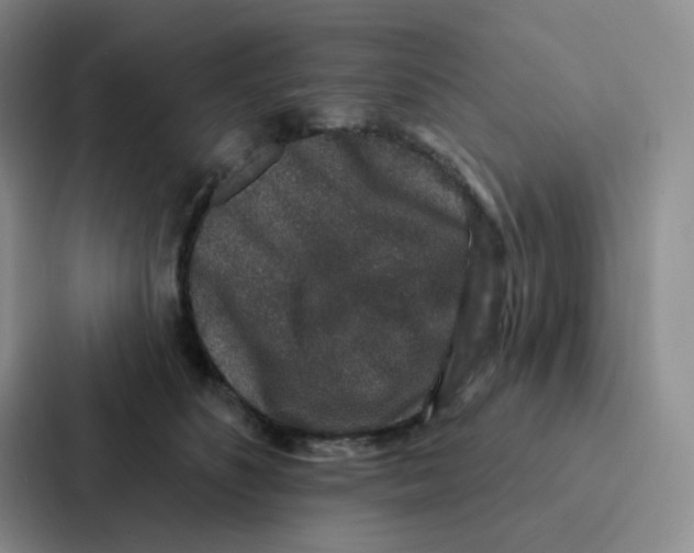 X0000086950516200705141825