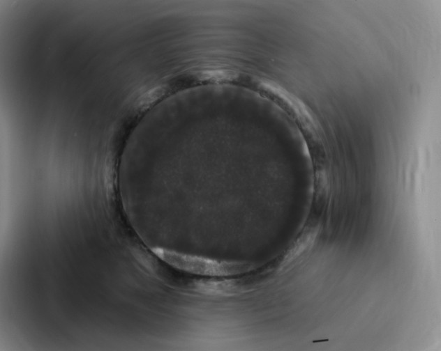 X0000086950517200705141825