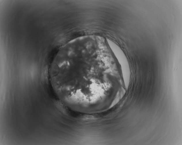 X0000086950519200705141825