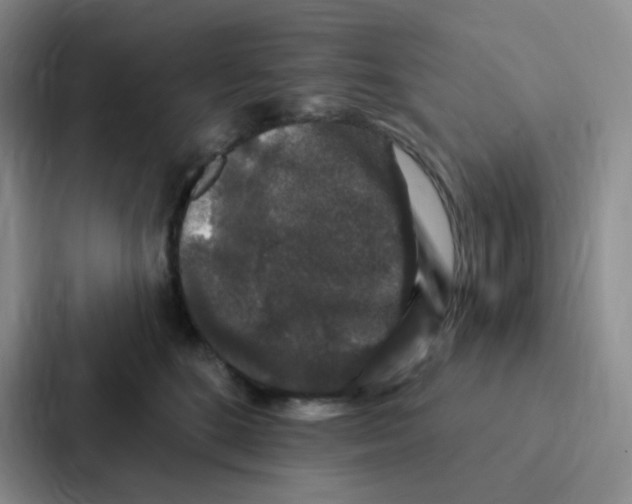 X0000086950520200705141825