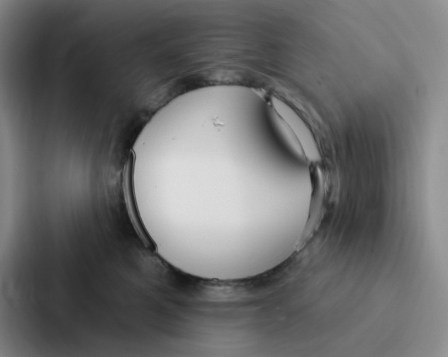 X0000086950521200705141824