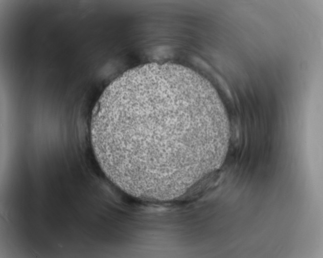 X0000086950523200705141824