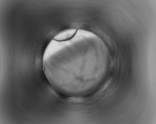 X0000086950526200705141824