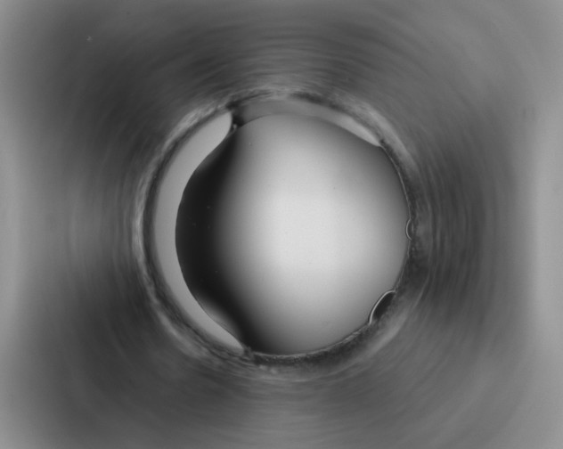 X0000086950530200705141824